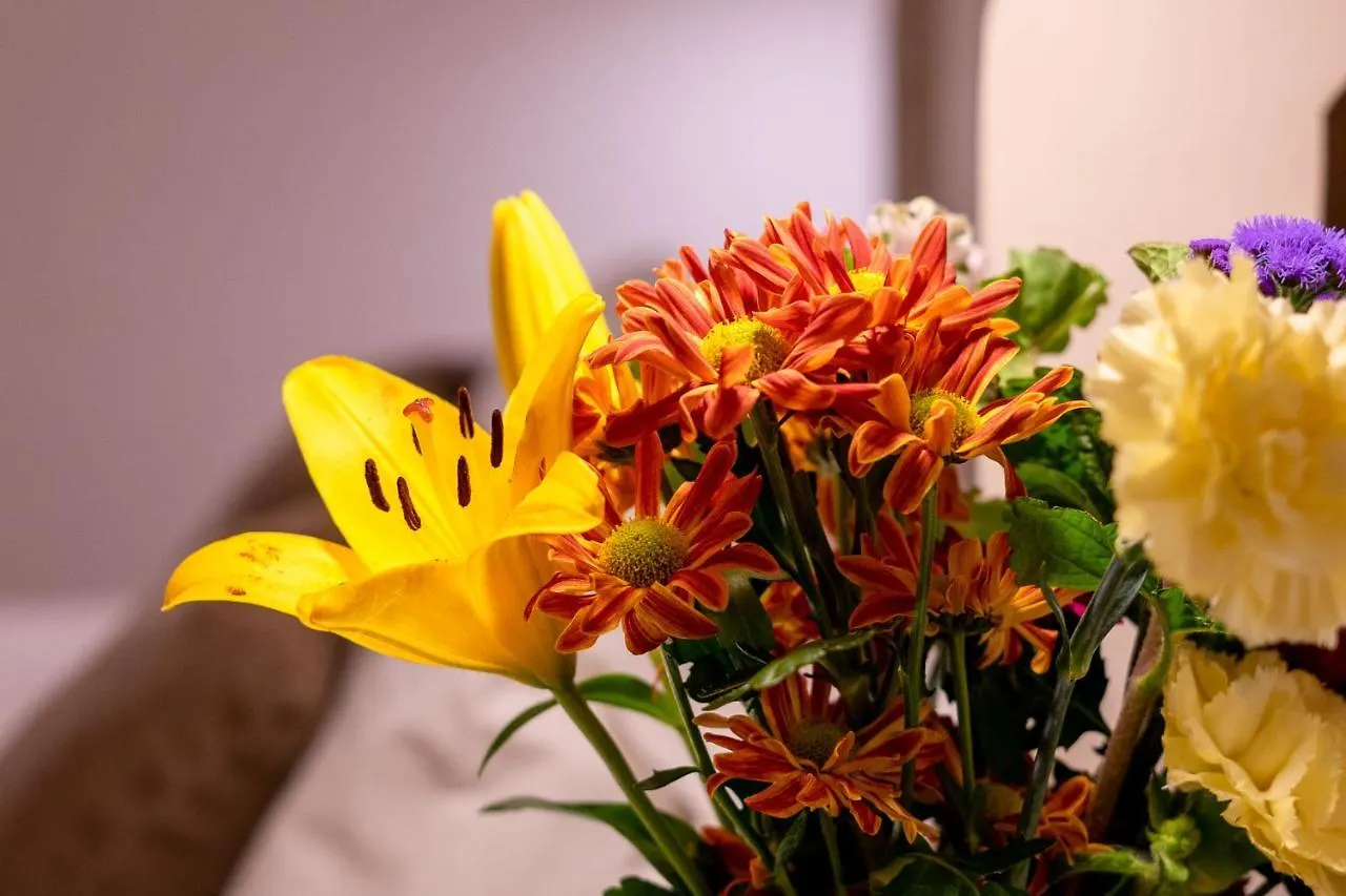Apartamentos Sharis Jerez de la Frontera